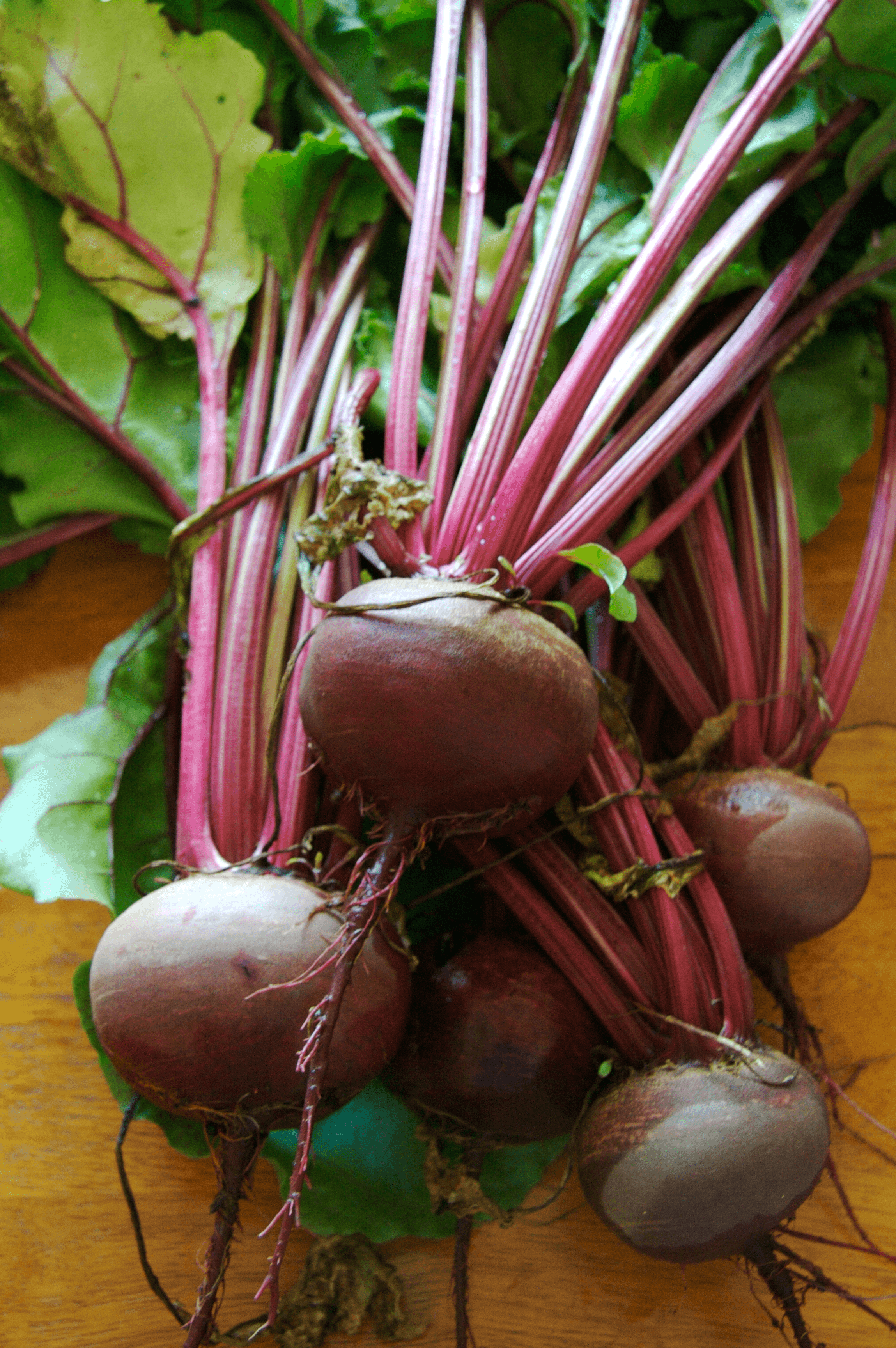 Beet